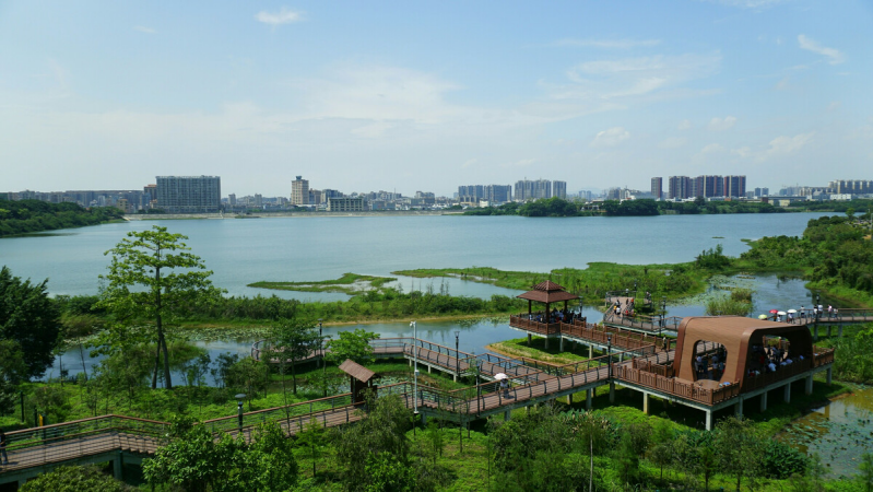 盘点深圳十大最美公园，你最爱的是哪个公园？